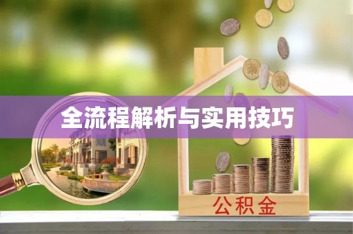 户县全流程解析与实用技巧