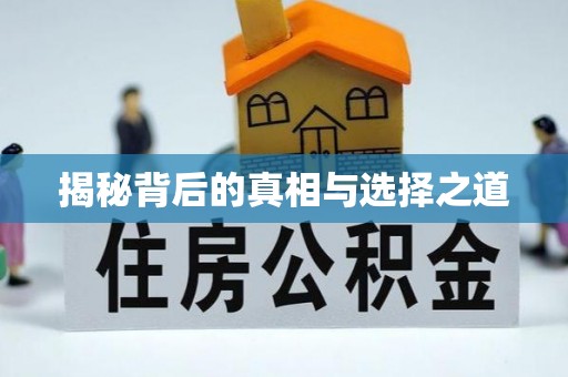 户县揭秘背后的真相与选择之道