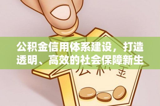 户县公积金信用体系建设，打造透明、高效的社会保障新生态