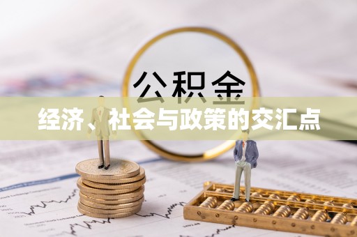 户县经济、社会与政策的交汇点