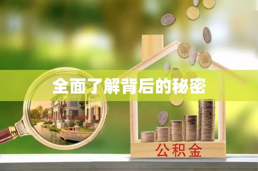 户县全面了解背后的秘密