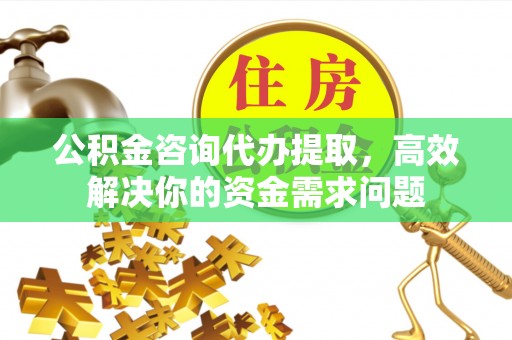 户县公积金咨询代办提取，高效解决你的资金需求问题