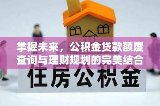 户县掌握未来，公积金贷款额度查询与理财规划的完美结合