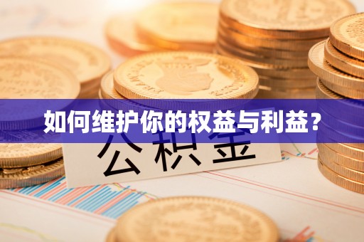户县如何维护你的权益与利益？