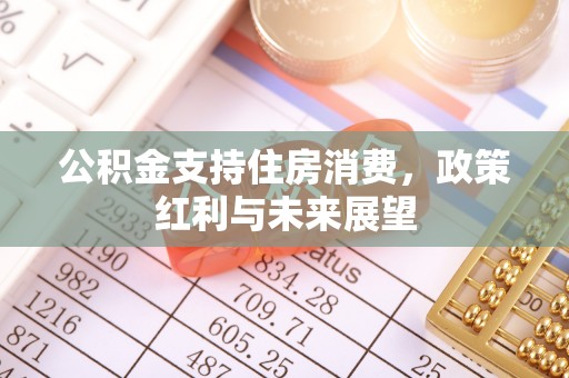 户县公积金支持住房消费，政策红利与未来展望