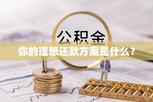 户县你的理想还款方案是什么？