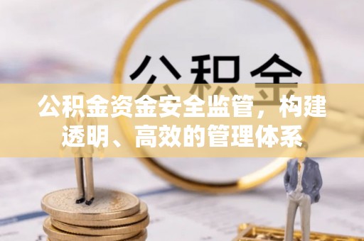 户县公积金资金安全监管，构建透明、高效的管理体系