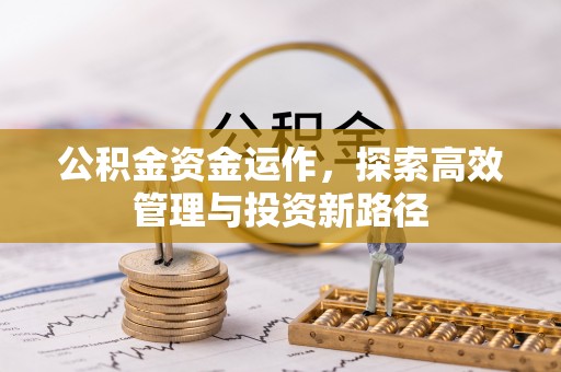 户县公积金资金运作，探索高效管理与投资新路径