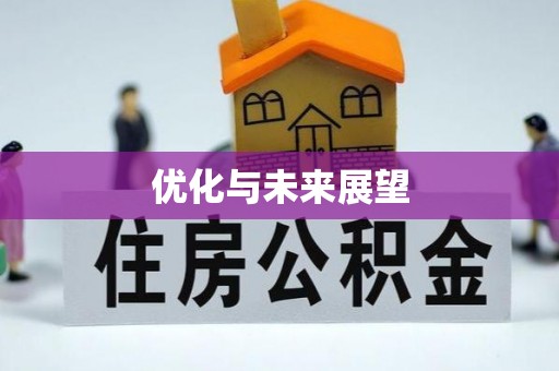 户县优化与未来展望
